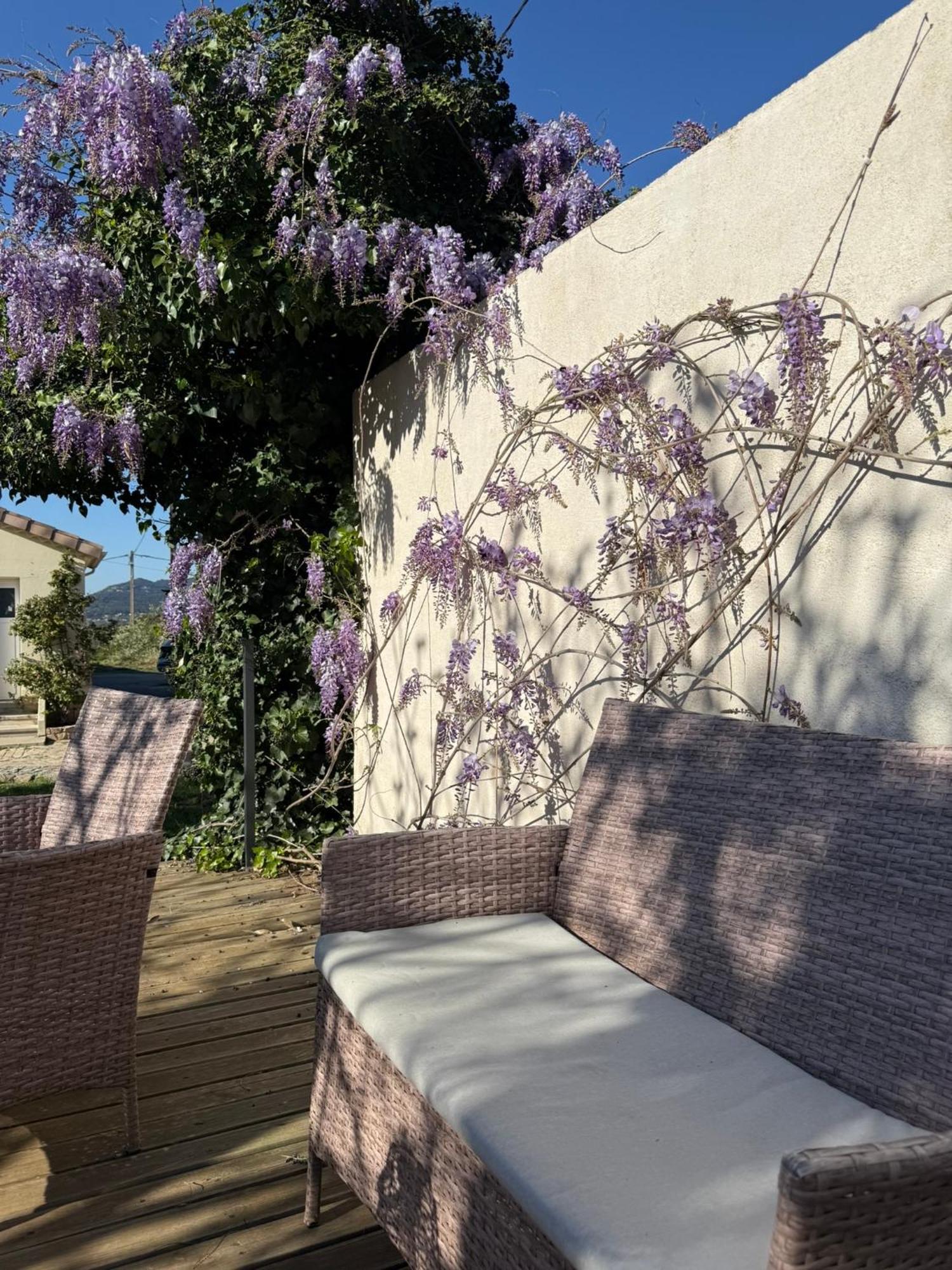 Gite Climatise Avec Piscine Sur Les Hauteurs De Bollène Exteriör bild